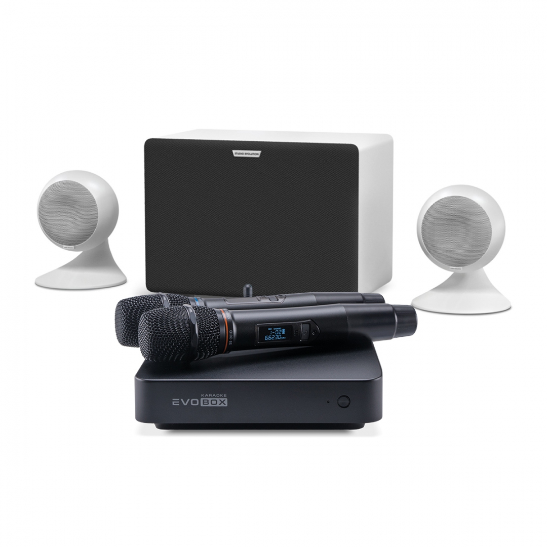 караоке-комплект EVOBOX Classic + EvoSound Sphere 2.1 в Братске