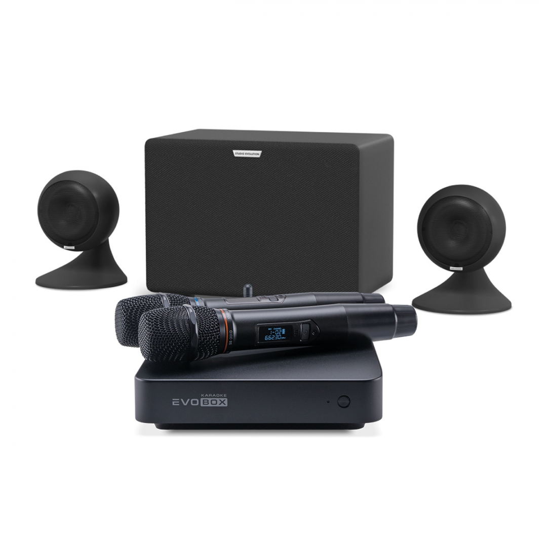 караоке-комплект EVOBOX Plus + EvoSound Sphere 2.1 в Братске