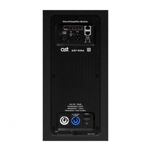 Активная акустическая система AST-310A в Братске