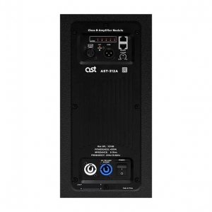 Активная акустическая система AST-312A в Братске