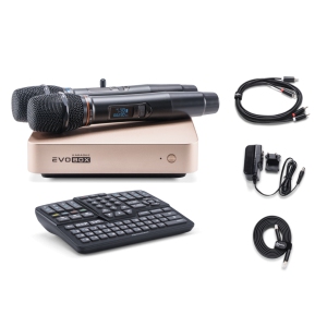 EVOBOX Classic караоке-система для дома в Братске